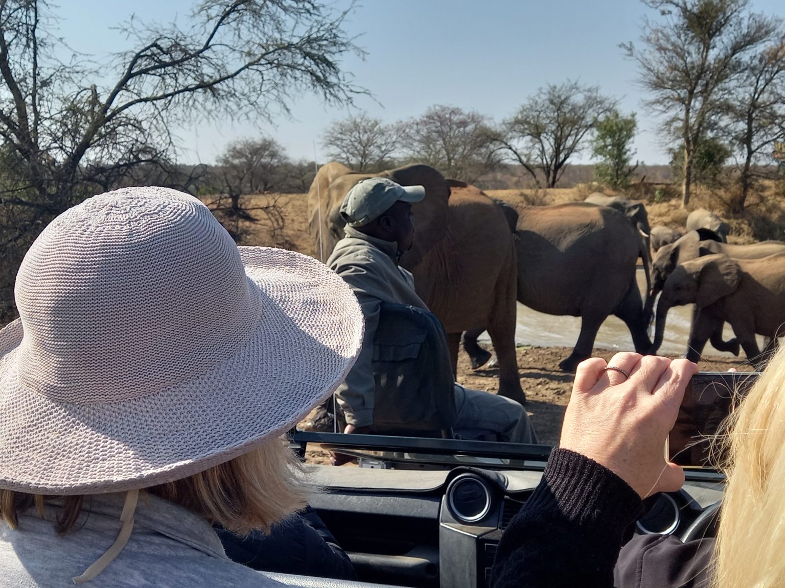 Best Safari Vacations For Animal Lovers
