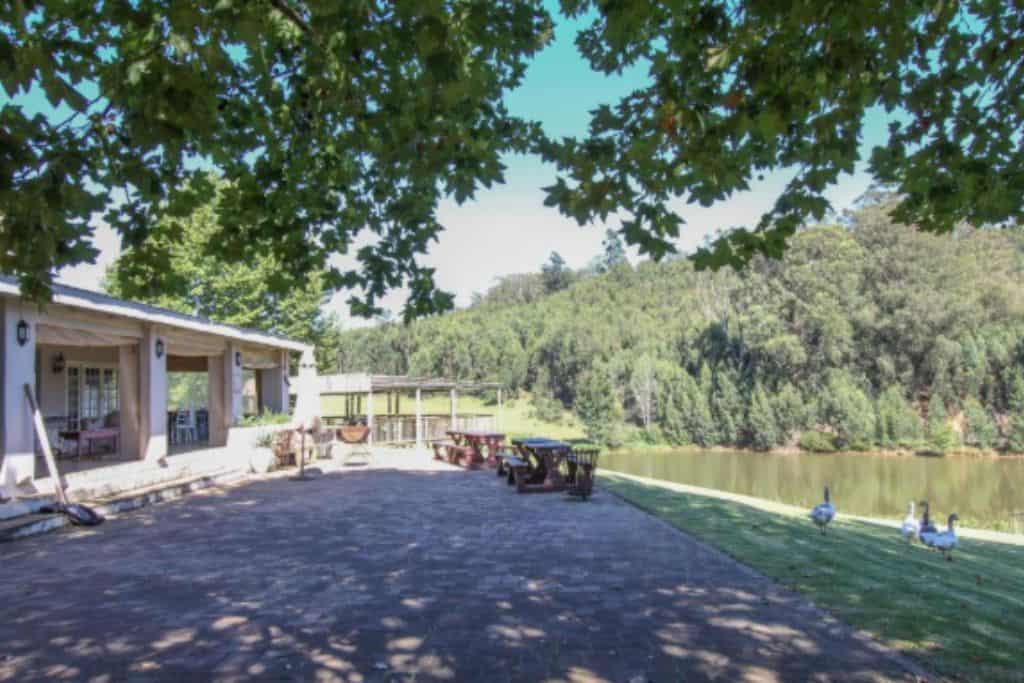 view of dam from verandah lavender trout